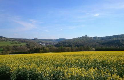 Gästehaus Ballmann 2 - Foto 27