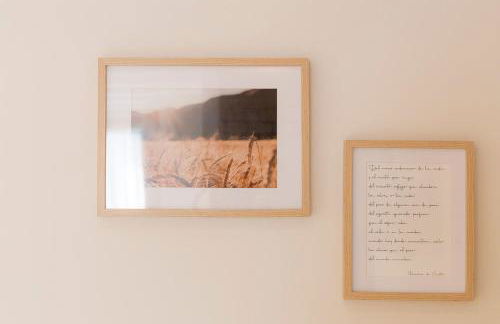 Luz de Viro - Foto 71