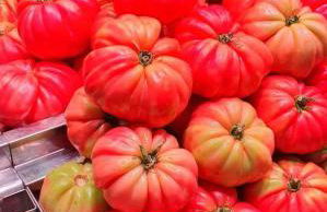 Apartamento de Inés Las Carolinas - Foto 54