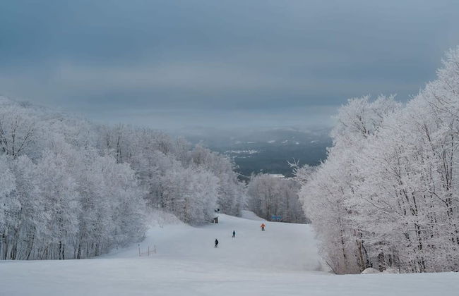 Chalet Refuge 114 in Lac-sup Rieur - Foto 68