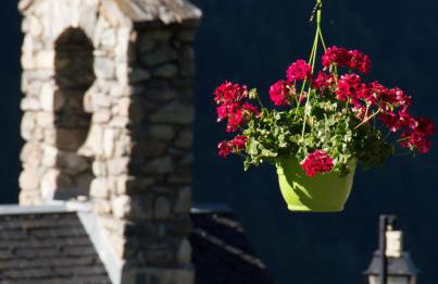 Chalet LEPERVIERE - Photo 26