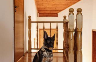 Dom wypoczynkowy Milówka - Photo 19