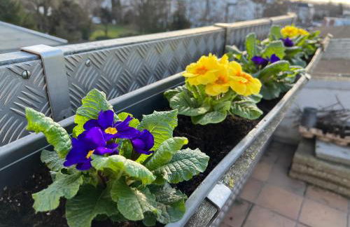 Der Schwan 7 - 3 Schlafzimmer - 2 Balkone - zentral - 100 qm - Foto 21