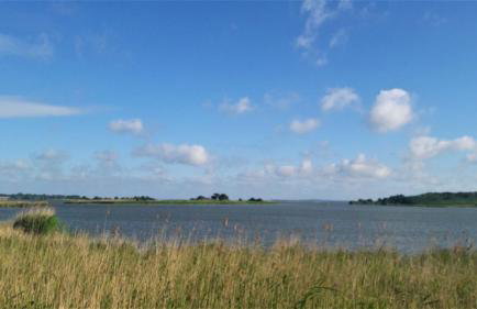 Landhaus Krummin - Foto 53