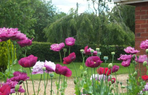 Rectory Bungalow Holiday Apartment - Foto 18