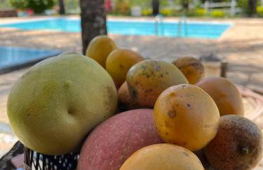 Sítio Veredas Formiga-MG - Foto 23