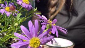 Casa LA TORRETTA - Foto 4