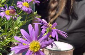 Casa LA TORRETTA - Foto 4