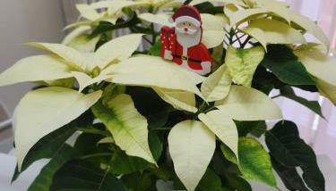 CASA TIO PIERO Centrale accogliente e confortevole - Foto 2