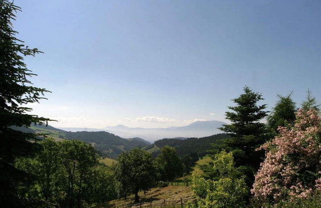 Chalet in Diex Near Klopeiner See With Sauna-formerly TUI Ferienhaus - Foto 30