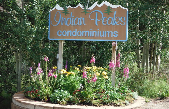 Indian Peaks Resort - Photo 64