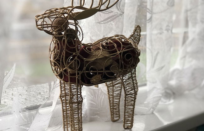 B'ham NEC HS2 - Foto 20