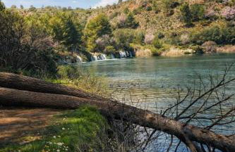 El Paraíso Del Rey - Foto 64