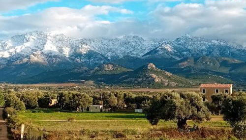1st floor apartment in 18th century character house - Foto 3