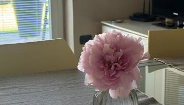 ElleCi Casa Vacanze - Foto 5