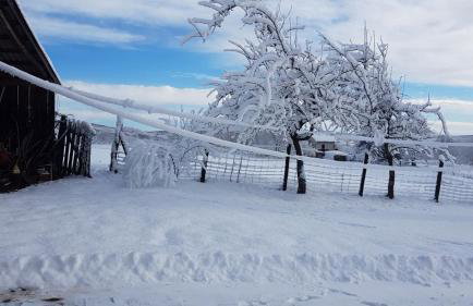 House Luna - Foto 53