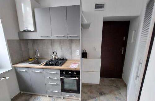 Apartament Kamienna Gora - Foto 3