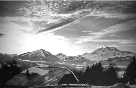 Mazot Hirondelle - Photo 30