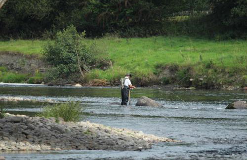 Nant-Y-Glyn - Foto 36