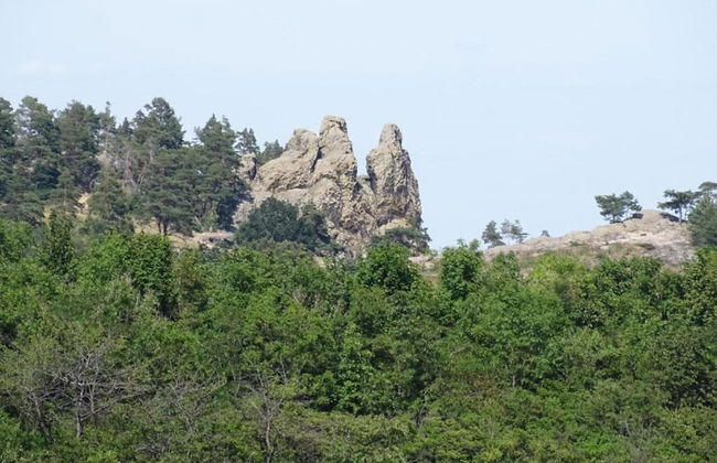 Spacious Holiday Home in Wienrode near Braunlage Ski Area - Foto 33