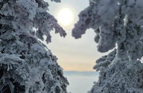 Parkside Appartement - Foto 41