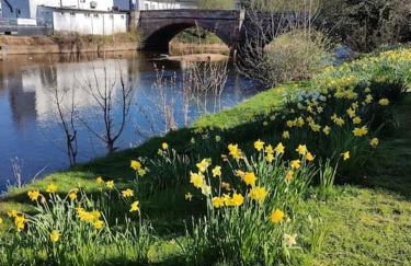 Eden house - Foto 29