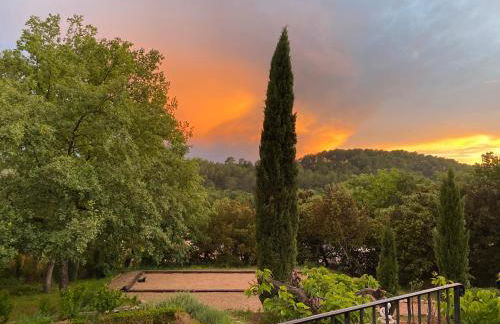 La Magistrale - Foto 15