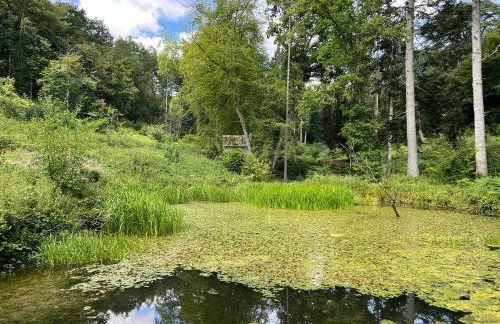 Croft Lodge Studio - Foto 28