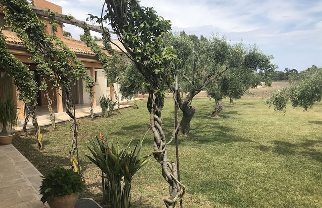 Masseria Scannaturco - Photo 20