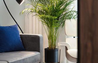 Palicki - Apartamenty z widokiem na morze - Photo 17