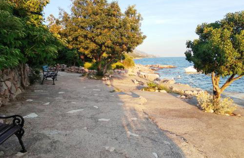 11 Primorska ulica - Foto 19