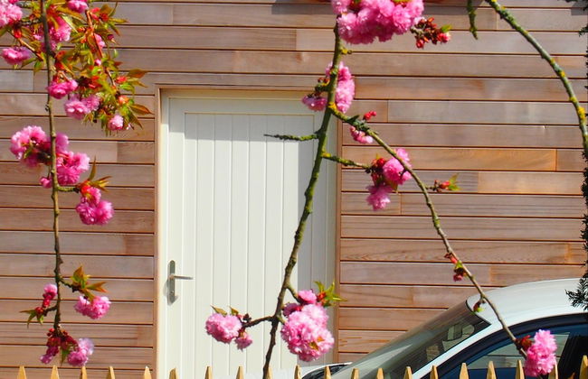 Gite L'archipel - Foto 31