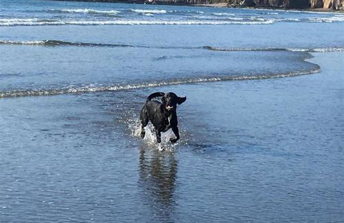 Stable Cottage - Foto 30