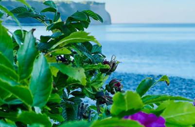 Albert-INN-Glowe - barrierefrei & 3 Schlafzimmer & Coworking & Strandkorb-saisonal & Sauna im Haus & Fahrräder - Foto 42