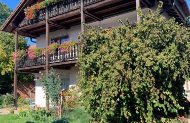 Gästehaus zum Rhein - Foto 1