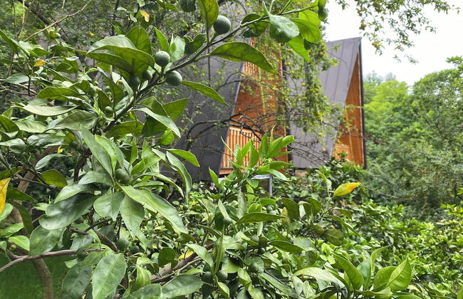 Kvirike Gardens - Foto 22