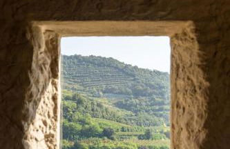 Arcadia wine resort - Adults only - Foto 21