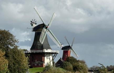 Ferienhaus FRIESENHERZ - Traum-Landhaus mit Sauna & Wallbox - Foto 3