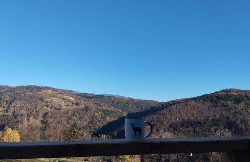 Przystanek Bystra - Foto 19