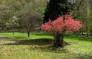 Landsitz Kammerburg - Foto 67