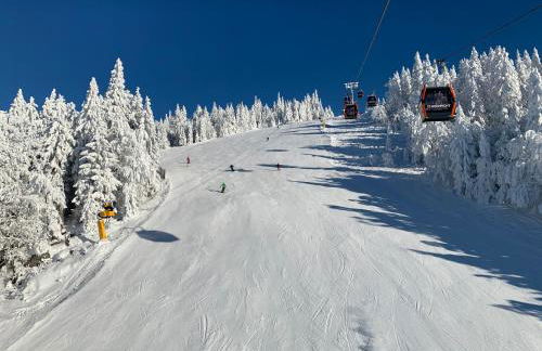 Panorama Bayerwald - Foto 29