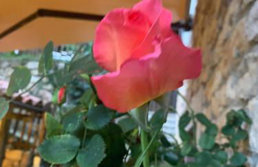 Posada El Pareón - Photo 36