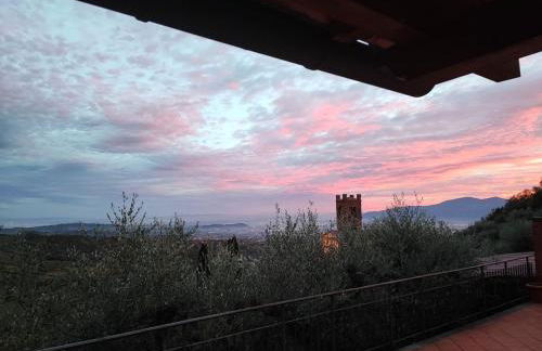 Tenuta Lombrica - Foto 25