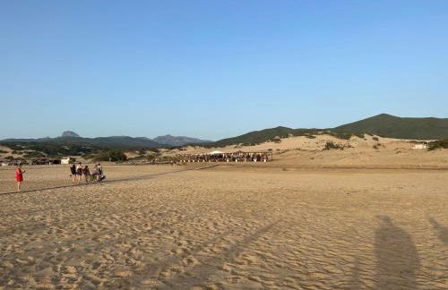 Su Tostobiu - Foto 37