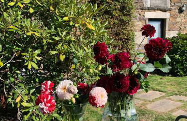 Casas do Campo - Foto 39