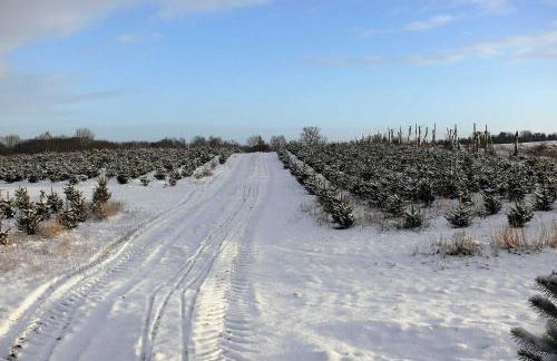 Haus-Auetal - Photo 6