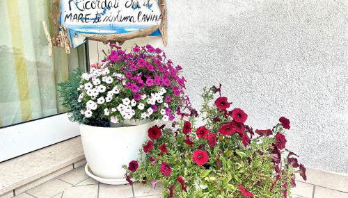 Villa Azzurro Blu - Foto 5