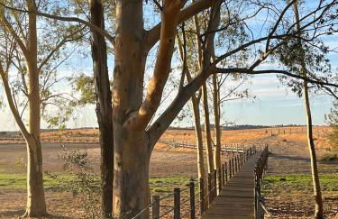 Casa do Ocaso - Foto 31