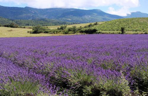 Le Cigalou - Drôme Provencale - Foto 19