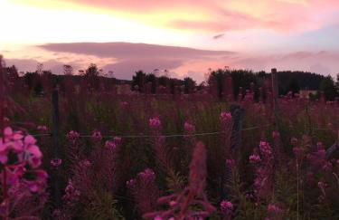 Ferienhaus Schneeweiß - Photo 38